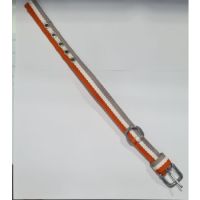 LILLIDALE DOG COLLAR ORANGE