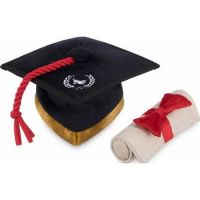 Back to School Plush Toy Graduation
