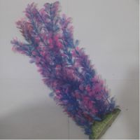 Sea Star Aquarium Plant PLT1202M