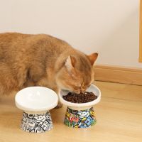 M-PETS Freestyle Tilt’d Raised Ceramic Bowl Mixed Colors 150ml