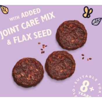  Lily's Kitchen Turkey & Whitefish Senior Dog Treats - 70G 