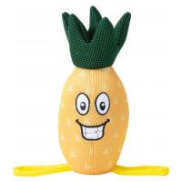 Freedog Floating Pineapple Plush Toys for Dog and Cat