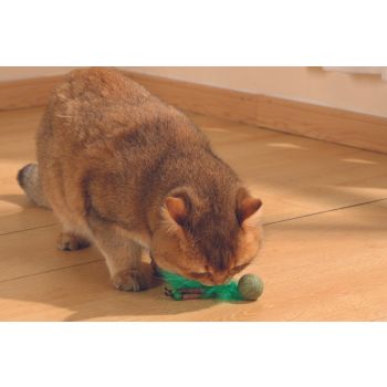  M-PETS Charmy Bugbear Green Catnip Cat Toy 