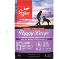Orijen Large Breed Puppy Dry Food - 6KG