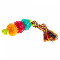 PA 6425 DENTAL TOY
