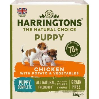  Harringtons Chicken & Potato Grain Free Wet Puppy Food 380g 