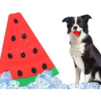 Laroo Dog Toys Watermelon