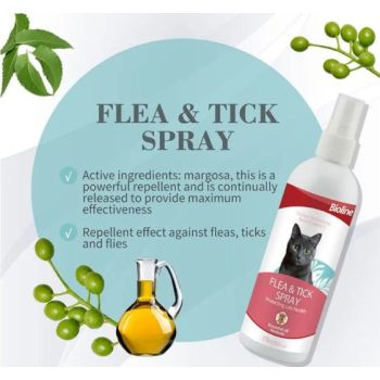  Bioline Flea and Tick Spray for Cat 175 ml 