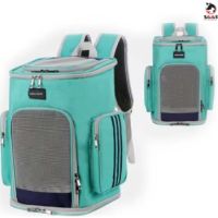 Saas Cats Travelling Bagpack 25x27x40 CM Green