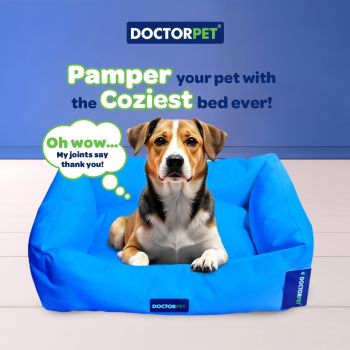  DOCTOR PET BED GELATO SERIES VR02 LARGE 95 x 75 x 22 cm 