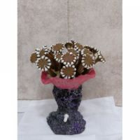 AQUARIUM DECORATION CA010