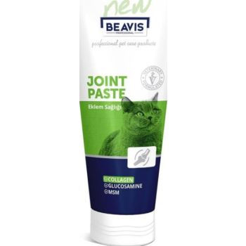  Beavis CAT JOINT PASTE 85 ML 