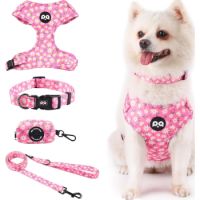 Mesh pet harness 4 PC set (Harness + Leash + Collar + Bag) (Daisy pink) (S										6076469820241