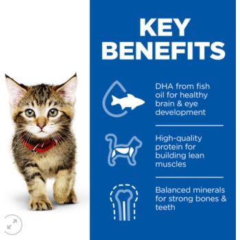  Hill’s Science Plan Kitten Food With Salmon (1.5kg) 