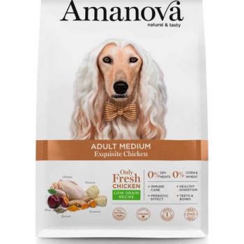  Amanova Dry Adult Medium Exquisite Chicken - 2kg 