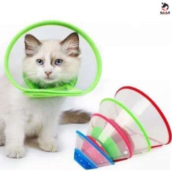 Saas Elizabath Pet Collar 1476 XL