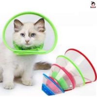 Saas Elizabath Pet Collar 1476 XL