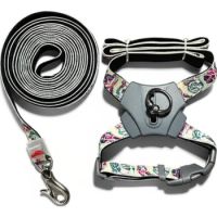 Panda X Harness And Leash Green  20mmx45-70cm