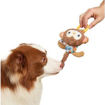  FOFOS Monkey Puppy Toys 