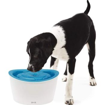  Zeus H2EAU Dog Drinking Fountain Blue Top - 6 L 