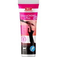 Bio PetActive GlucoCHOND Plus Gel (Hip and Joint Support Gel for Cats) 100ml