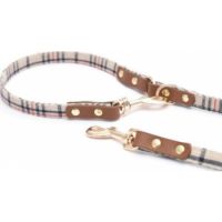PAWSITIV HANDMADE DOG LEASH - THOMAS (171 BEIGE