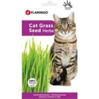 Flamingo Cat Grass Seed