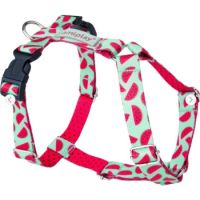 Amiplay BeHappy Guard M Watermelon Harness