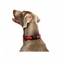 COA HC024 HALTI Collar Red Medium