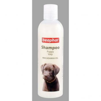  Shampoo Macadamia Oil for Puppies 250ml 