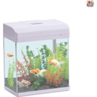 Perfect Aquarium 235X160X280 PINK