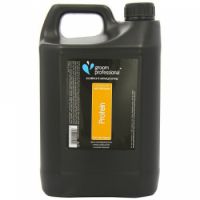 GROOM PROFESSIONAL 2 IN 1 PROTEIN SHAMPOO 4 LITRE : 842095