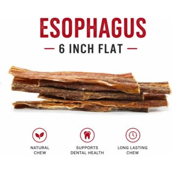  Petrix Esophagus Flat 6" - 10 Pcs 