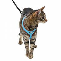 CAT HARNESS ACTIV BLUE 82645