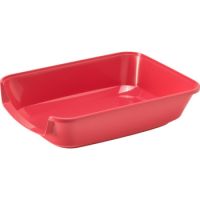 Moderna Maryloo Tray Small 37 x 27 x 8.89 cm-Spicy Coral