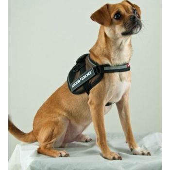  EzyDog Convert Dog Harness, Charcoal - Small 