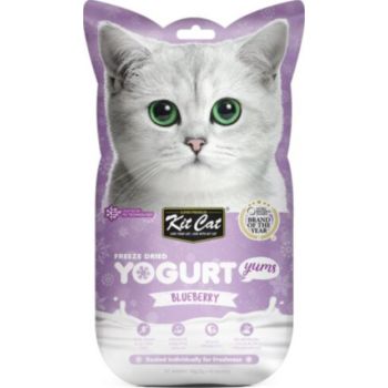  Kit Cat Freeze Dried Yogurt Yums – Blueberry 10G 
