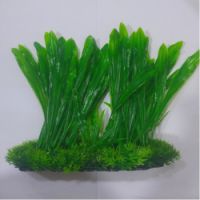 Sea Star Aquarium Plant PLT707L