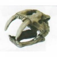 AQUARIUM DECORATION U777