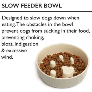  Scruffs Icon Slow Feeder Cream Pet Bowl 20cm 