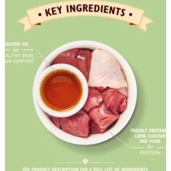  Lily's Kitchen Lamb Paté Wet Cat Food - 85G 