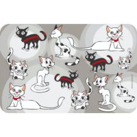 Camon Placemat For Cat-B-43X28