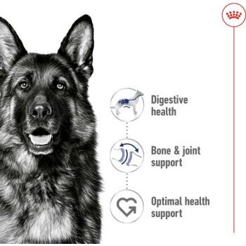  Royal Canin Maxi Adult (Wet Food - Can) 410 g 