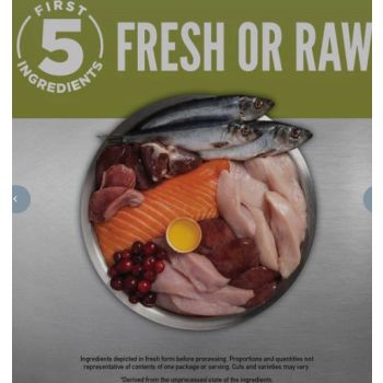  Orijen Senior Dog Dry Food - 2KG 