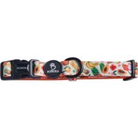 Pupstra Fruity Collar/Bow Tie  Small