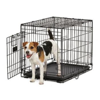  Midwest Lifestages A.C.E. Dog Crate 