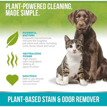  Simple Solution Plant-Based Stain and Odor Remover 946ml 