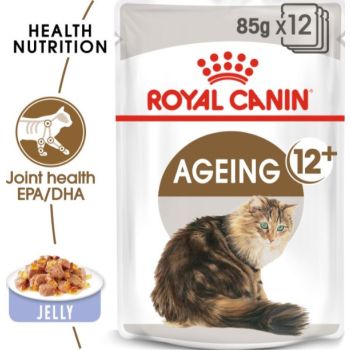  Feline Health Nutrition Ageing +12 Jelly 12x85g 