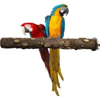  SAAS NATURAL WOODEN BIRD STICK TOYS 