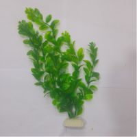 Sea Star Aquarium Plant PLT1204S